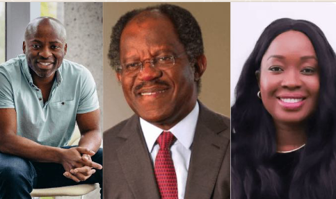 Here Are Five Influential Diaspora Nigerians In Business Sunshine   Screenshot 20240120 173337 